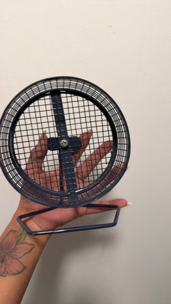 Hamster 🐹 exercise well