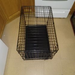 For Small Dogs , Yorckies or Morckies,excellent conditions