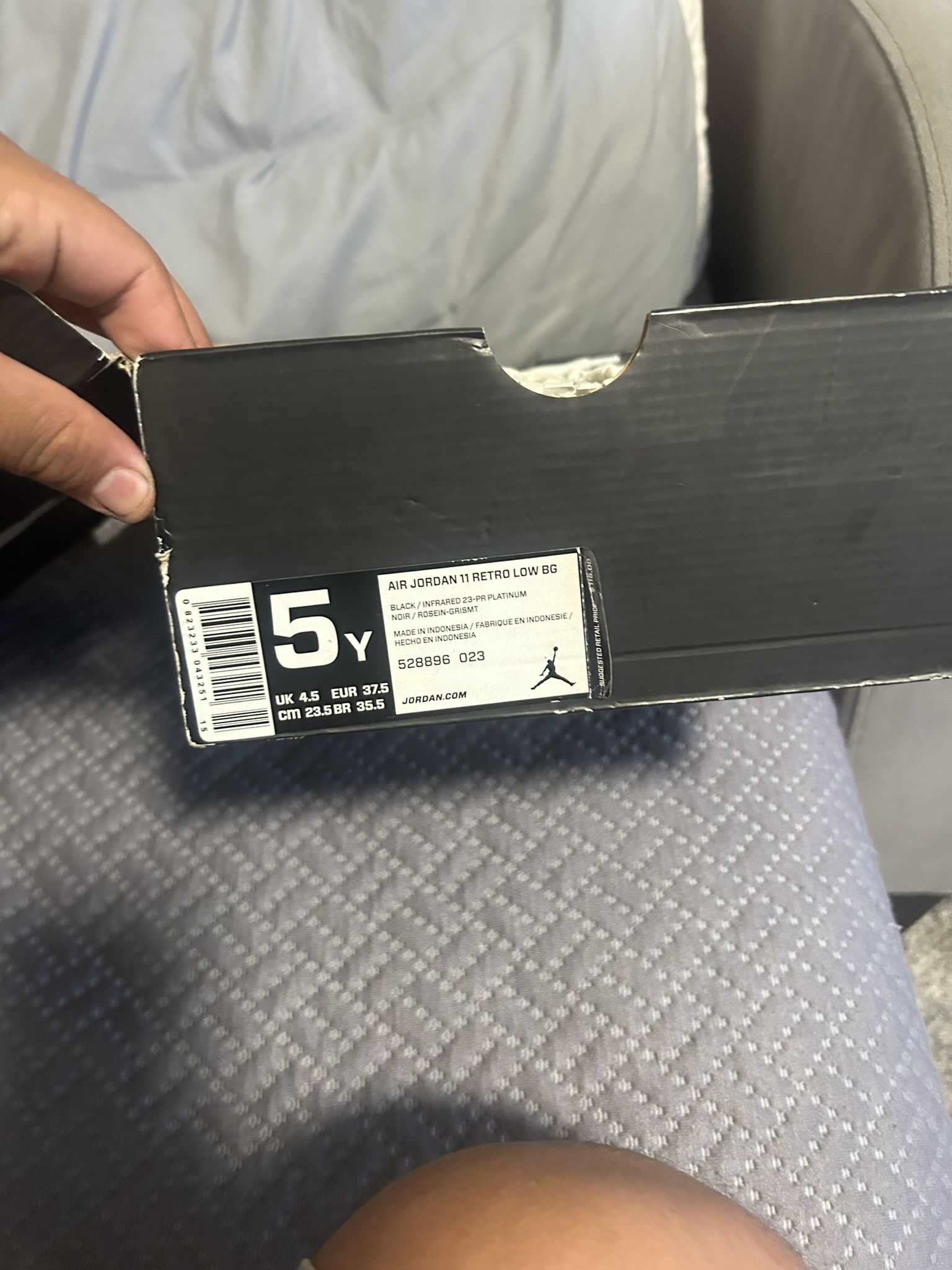 Jordan 11 Low