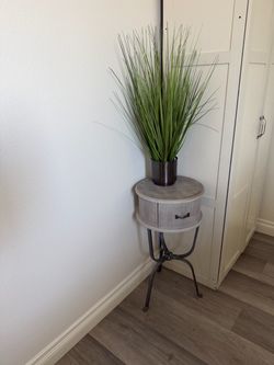 Table and plant