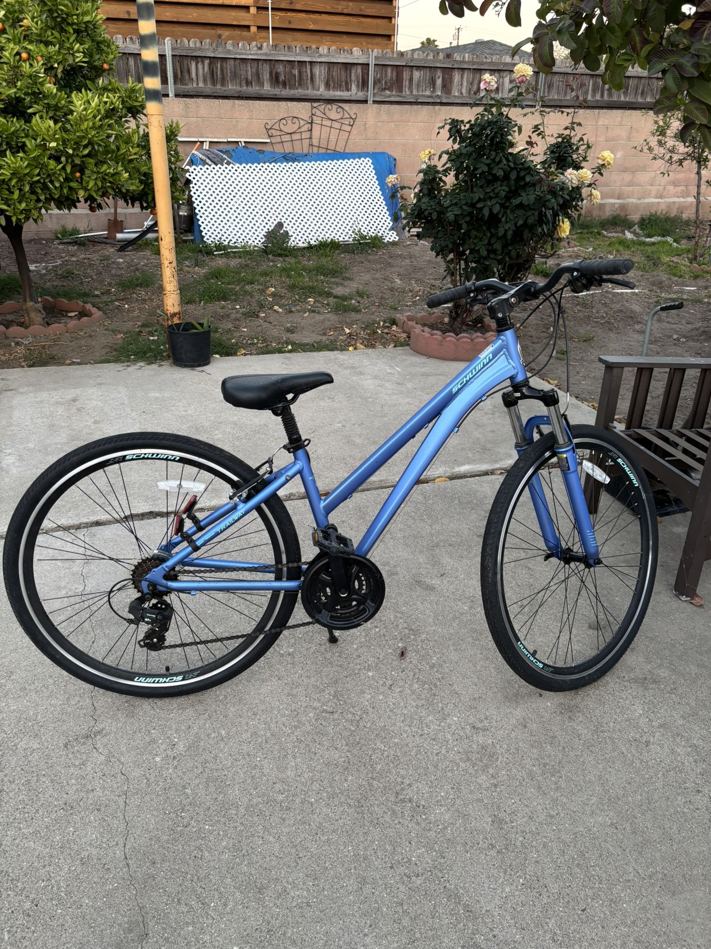 Schwinn Bike