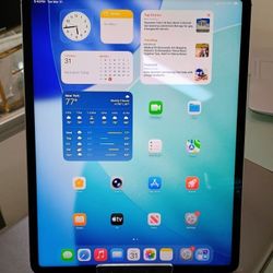 iPad Pro 4th generation 12.9 inches 
 256gb storage SIM 
