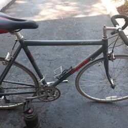 Trek Bicycles  Size 50 