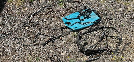 Pony harness and gear for pulling a cart Pony harness and gear for pulling a cart
