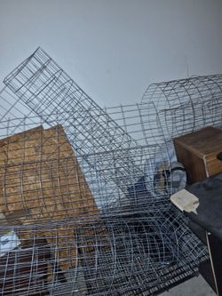 Backyard mesh wiring