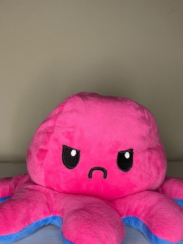Double Sided Fur Octopus Pet