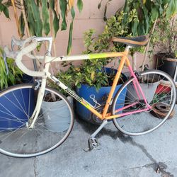 Vintage NISHIKI Bike