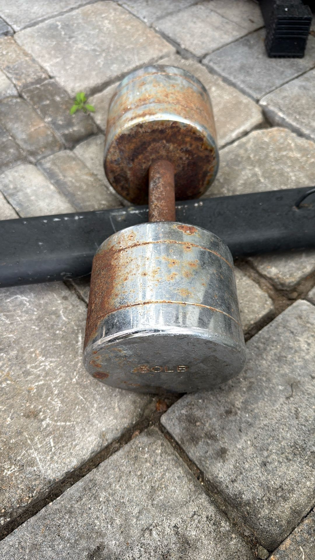 Dumbbells