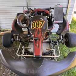 Professional go kart