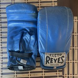 Cleto Reyes Boxing Gloves 