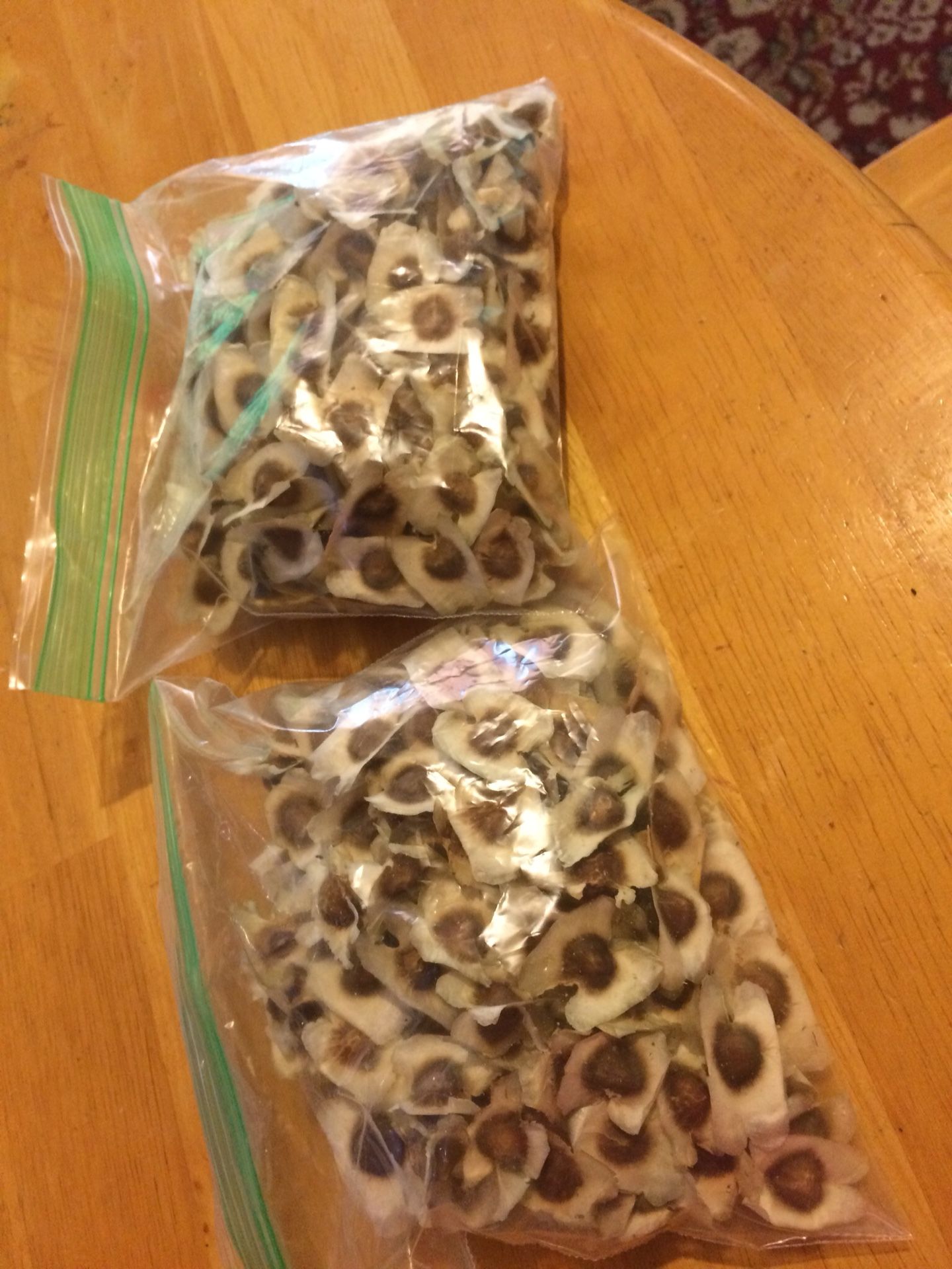 Moringa seeds