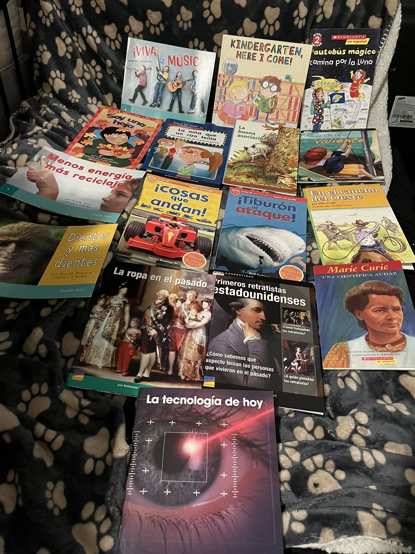 Spanish Reading Books 