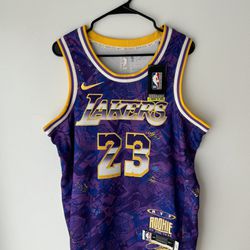 NWT LebBron James (23) Los Angeles Lakers Nike NBA Men's Select Series Jersey