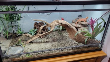 Reptile Enclosure 4L×2W×2H