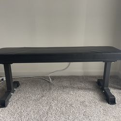 Workout Bench