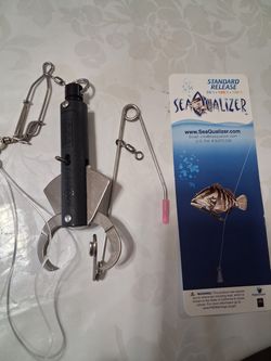 Seaqualizer descending device