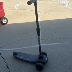 Bird Scooter Small 