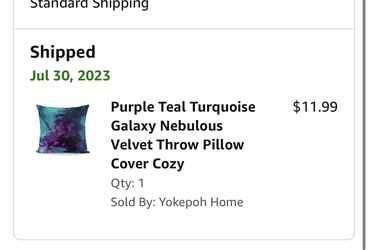 2 18x18 Pillow Cases