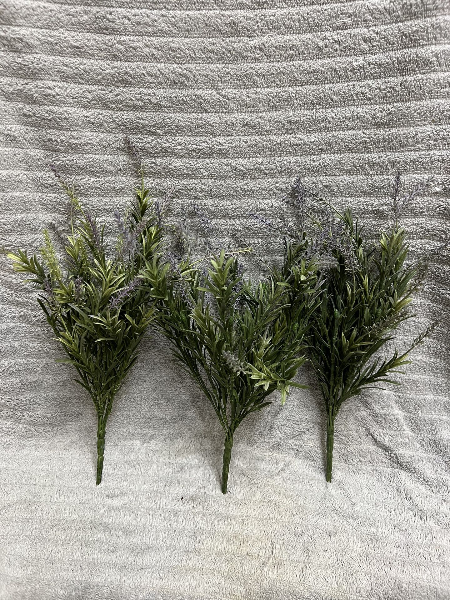 Lavender Bush