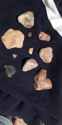 Fossils And Indian Artifacts
