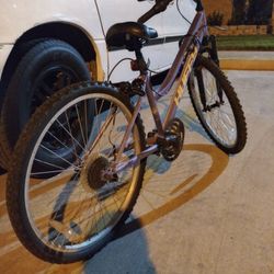 Bisicleta 24"