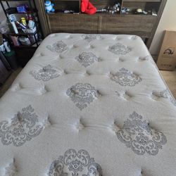 Queen Size Bed (frame)