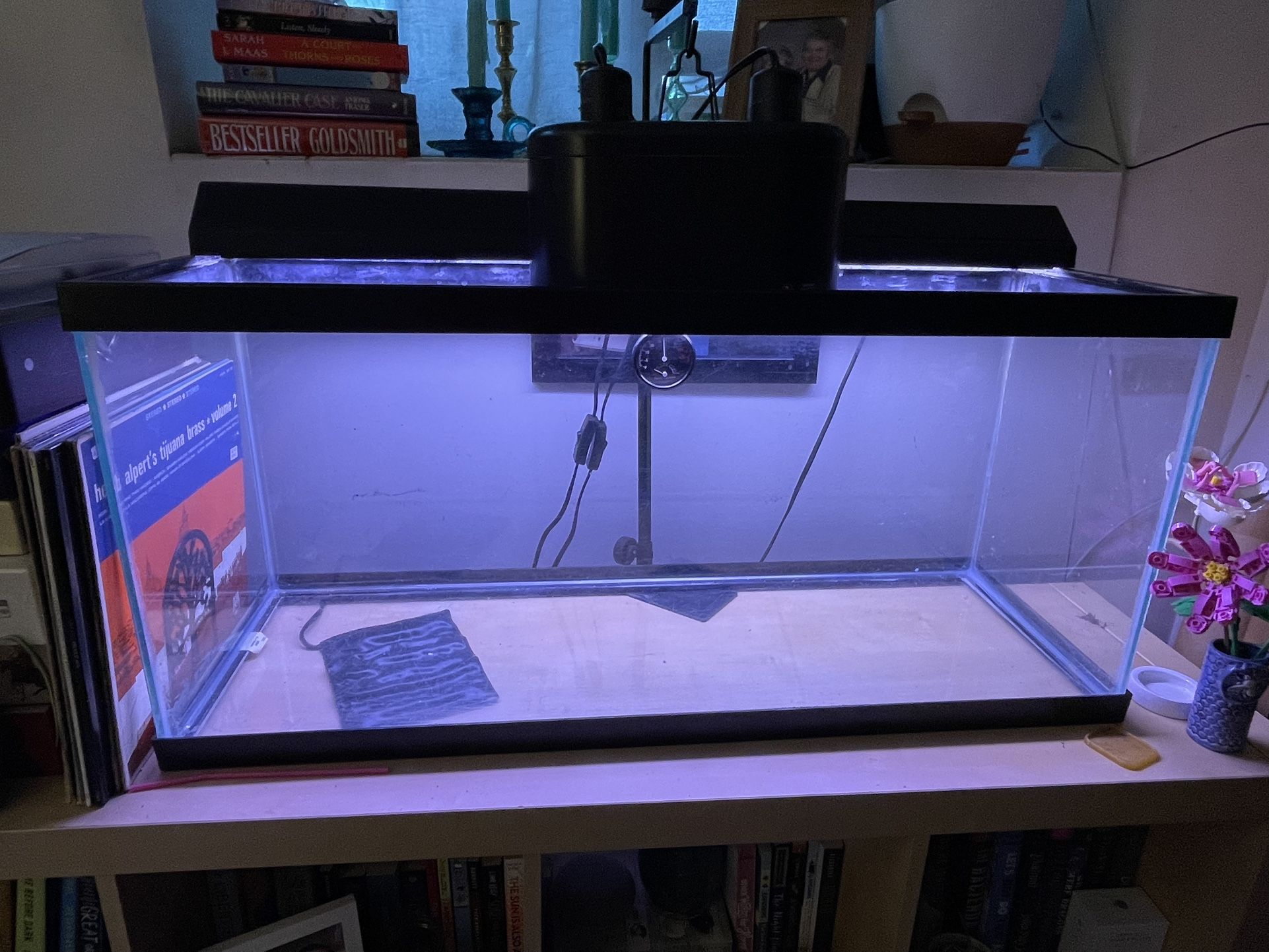 30 Gallon Tank