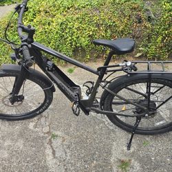 Cannondale Electric Bike