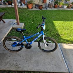 20 Inch Schwinn BMX Bike