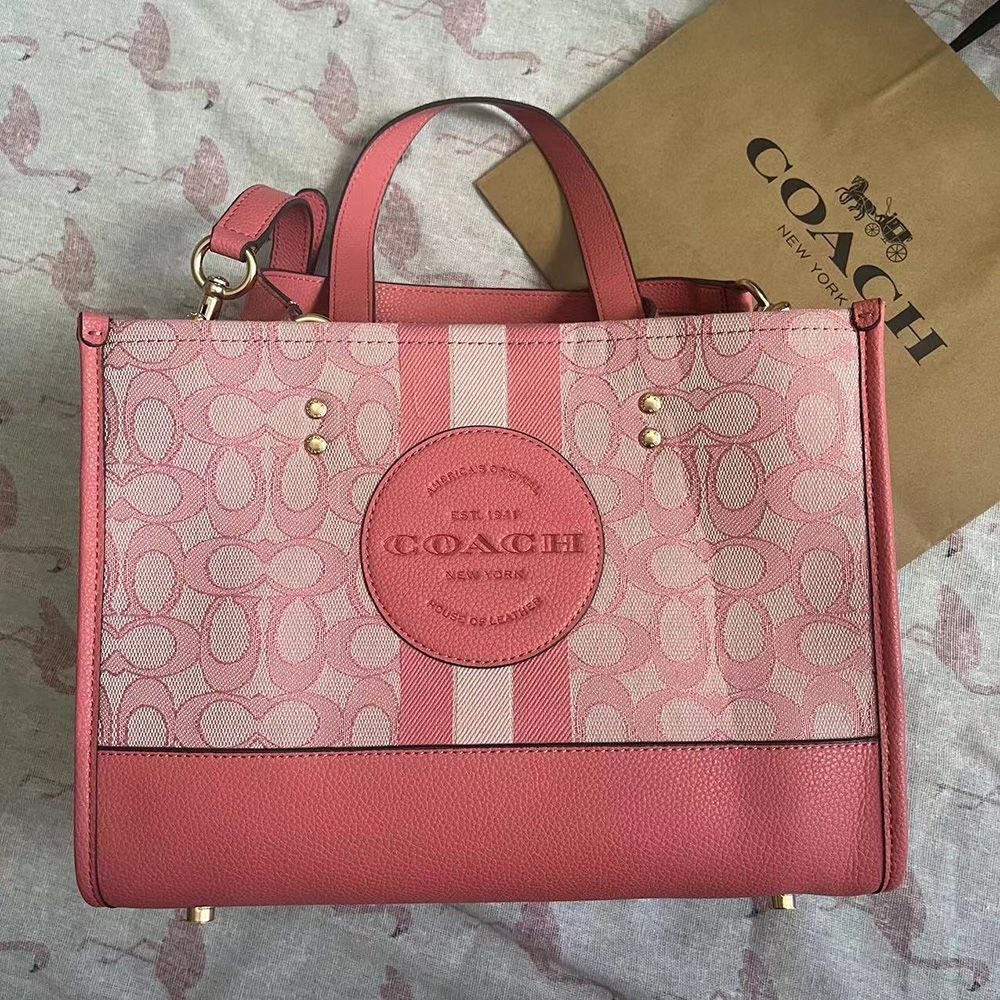 Coach Nolita 19 With Cherry Print