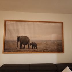 Elephant Picture Frame