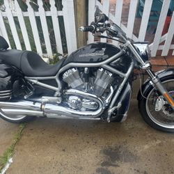 2008 Harley Davidson VROD