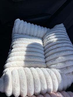 pets bed