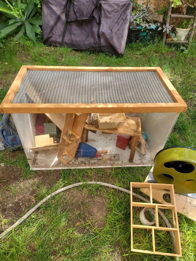 Hamster Cage & Contents $75 Obo