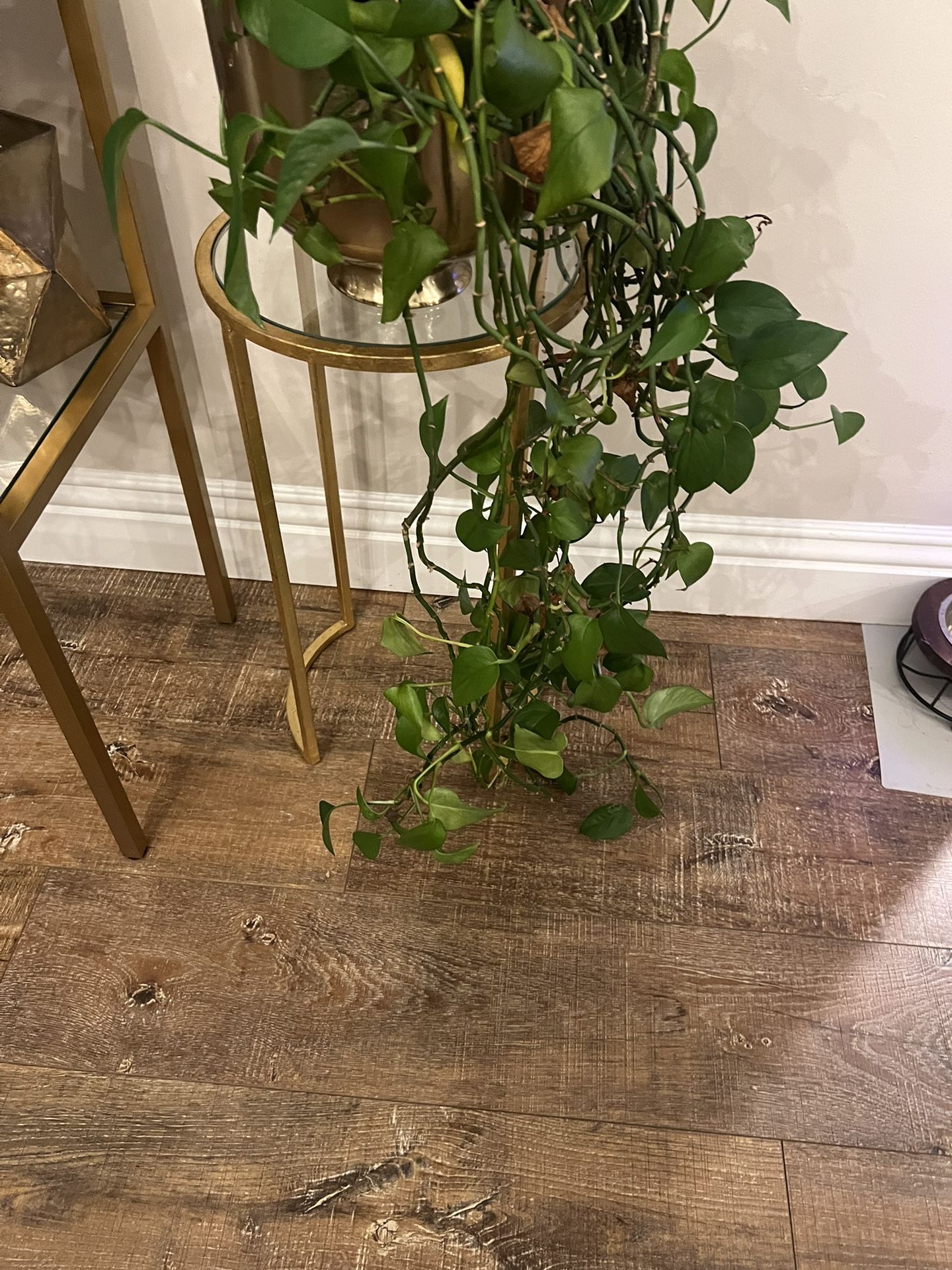 Brass And Tempered Glass Side Table/pedestal