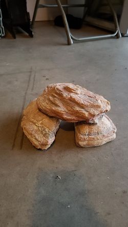 Reptile housing $10