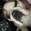 Lucy
