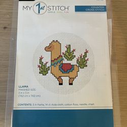 Beginner Embroidery Kit