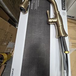 Cassidy Gold Single-Handle Pull-Down Sprayer Kitchen Faucet in Lumicoat Champagne Bronze