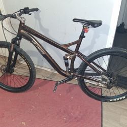 Specialized 2010 Pro