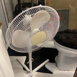 Fan 