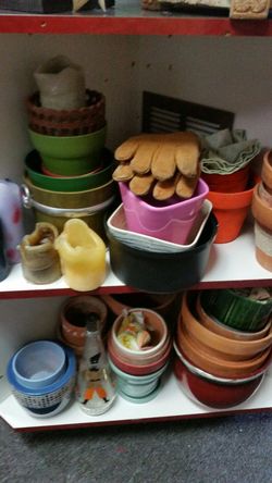 Planting. P9ts. $3_$5 each.