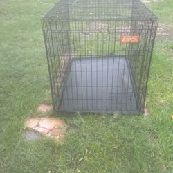 Large Dog ASPCA Collapsible Crate 