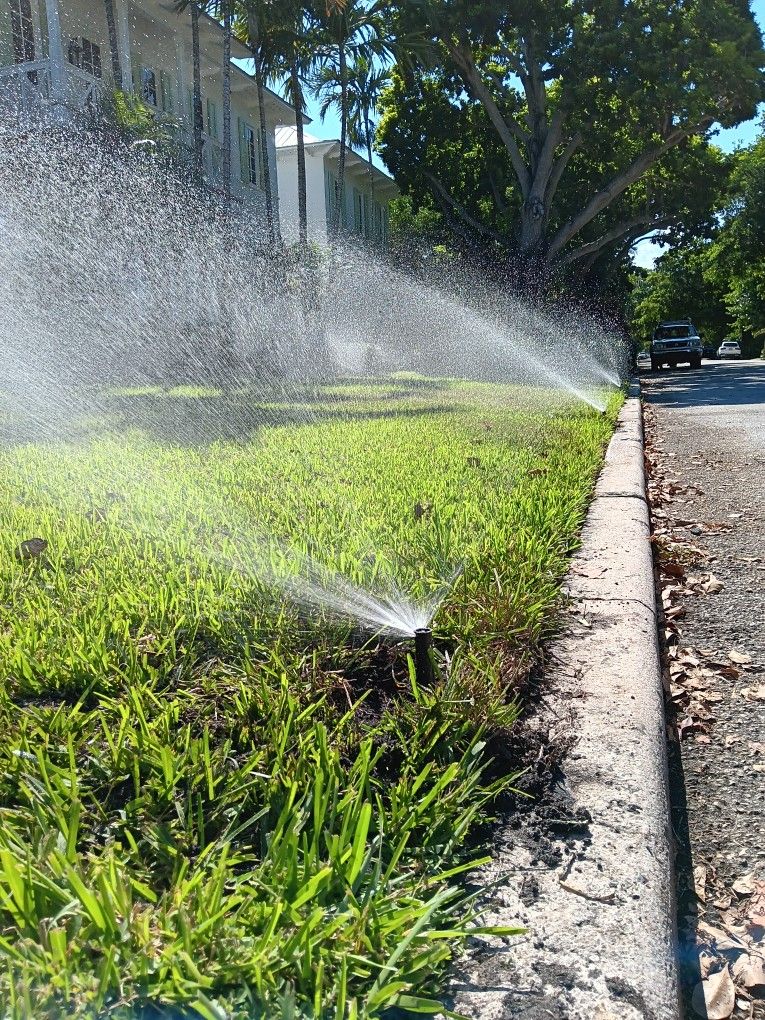 Sprinkler  Heads Rainbird.