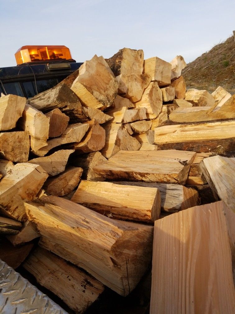 Dry Maple B