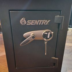 Sentry Safe With Key 