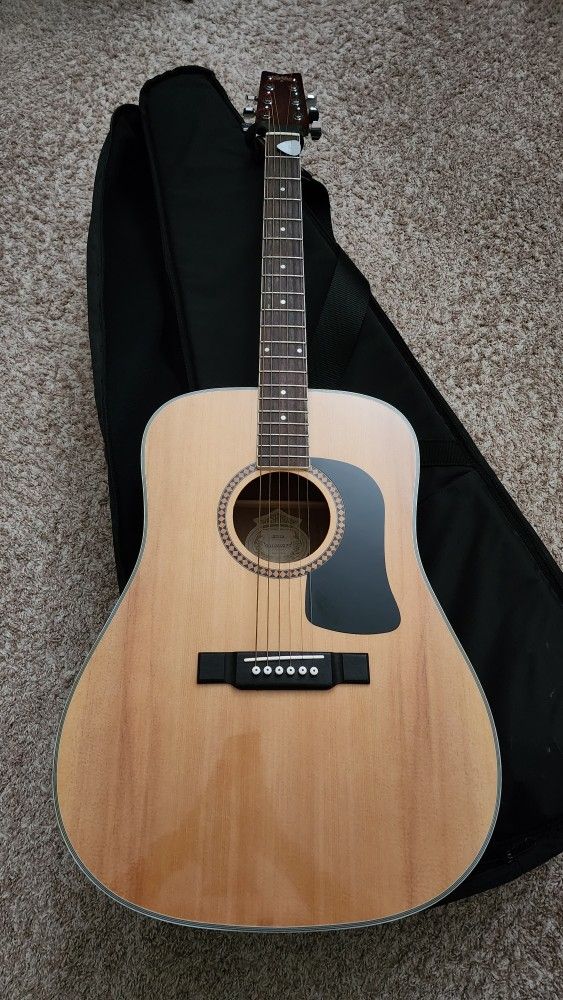 Washburn D10S Acoustic Guitar + Soft Case