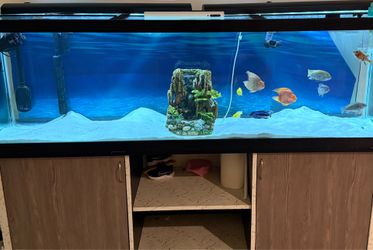 Aquarium 120 Gallon