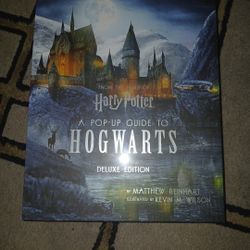 Harry Potter Pop Up