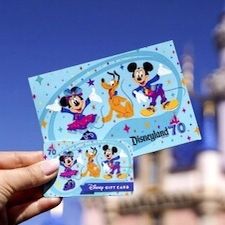 Disneyland Tickets 